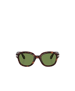 Po0060S
