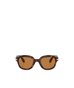 Po0060S