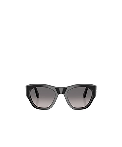Po0054S