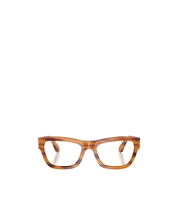 Po0091V