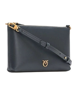 Pinko Flat Horizontal Top Zipped Clutch Bag