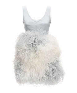 Sleeveless Dress