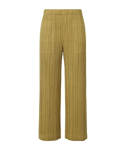 Pleated Trousers