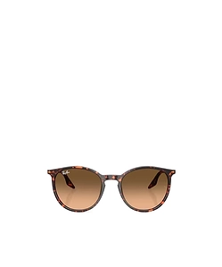 Rb2203 Sunglasses