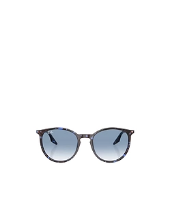 Rb2204 Sunglasses