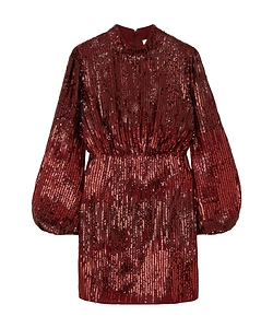 Long Sleeved Dress