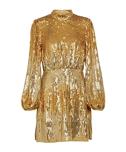 Sequin Embellished Dress