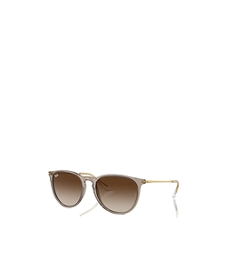 Ray-Ban Erika Round Frame Sunglasses