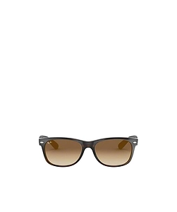 Ray-Ban New Wayfarer Square Frame Sunglasses