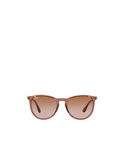 Ray-Ban Erika Classic Phantos Frame Sunglasses