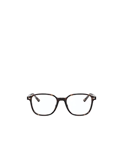 Ray-Ban Leonard Optics Glasses