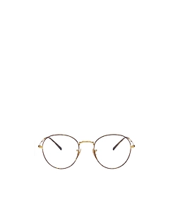 Ray-Ban Round Frame Glasses