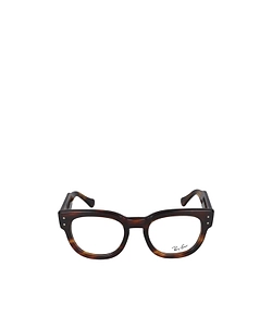 Ray-Ban Round Frame Glasses
