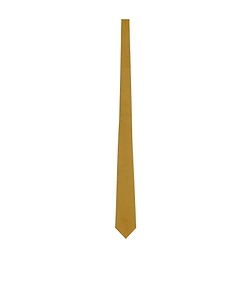 Tie In Silk Satin