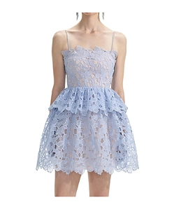 Corded-Lace Sheer Minidress