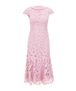 Collar Lace Dress