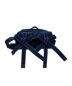 Beaded Classic Bow Crossbody Bag