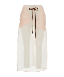Transparent Midi Skirt