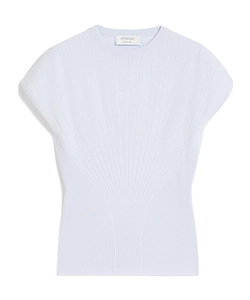 Sportmax Spxsamba Fitted Waist Knitted Top