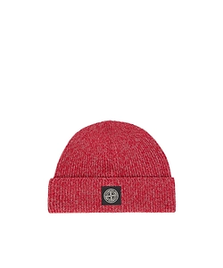Beanie With Reflective Coating And Compass Patch