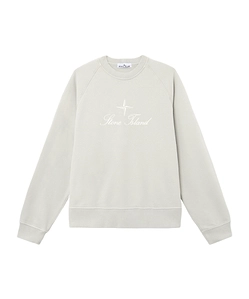 Oversized-Fit Raglan Crewneck Sweatshirt