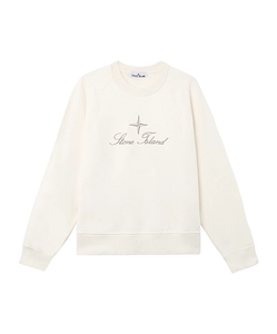 Oversized-Fit Raglan Crewneck Sweatshirt