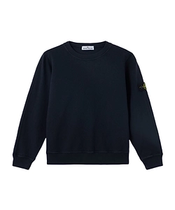 Regular -Fit Raglan Crew Neck Sweatshirt