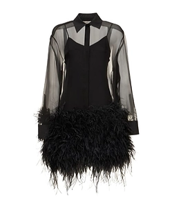 Feather-Trimmed Dress
