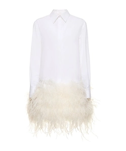 Feather Trimmed Dress