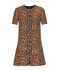 Leopard Print Minidress