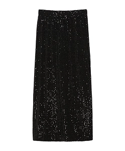 Embroidered Tulle Skirt