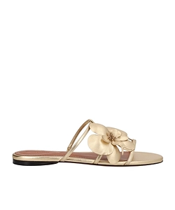 Zimmermann Orchid Embellished Slides