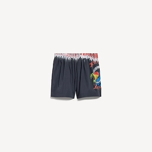 Extreme Tie Dye Swim Shorts
