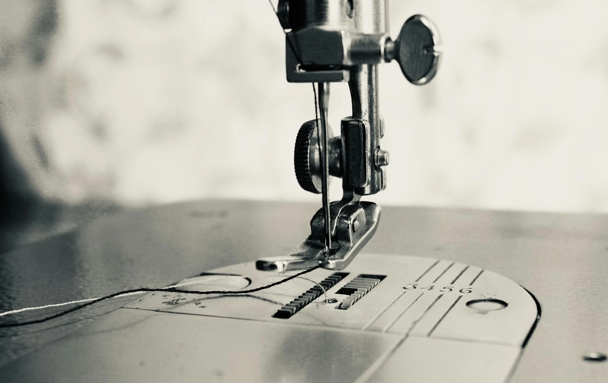 Fashion designers showcase